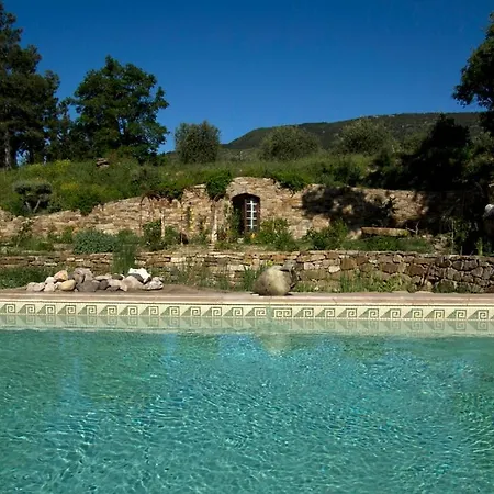 Se Ressourcer Au Coeur Des Oliviers Piscine Calme Assure Ferienhaus *
