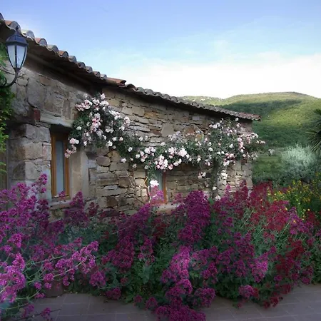 Feriehus Se Ressourcer Au Coeur Des Oliviers Piscine Calme Assure Saint-Privat (Herault)