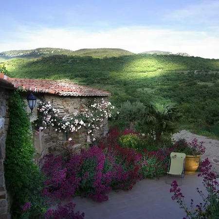Ferienhaus Se Ressourcer Au Coeur Des Oliviers Piscine Calme Assure *