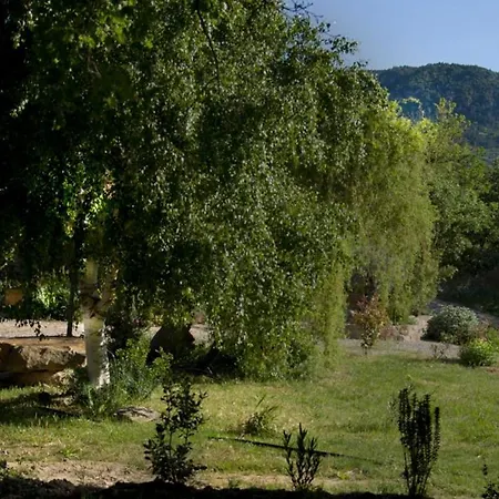 Se Ressourcer Au Coeur Des Oliviers Piscine Calme Assure * Saint-Privat (Herault)